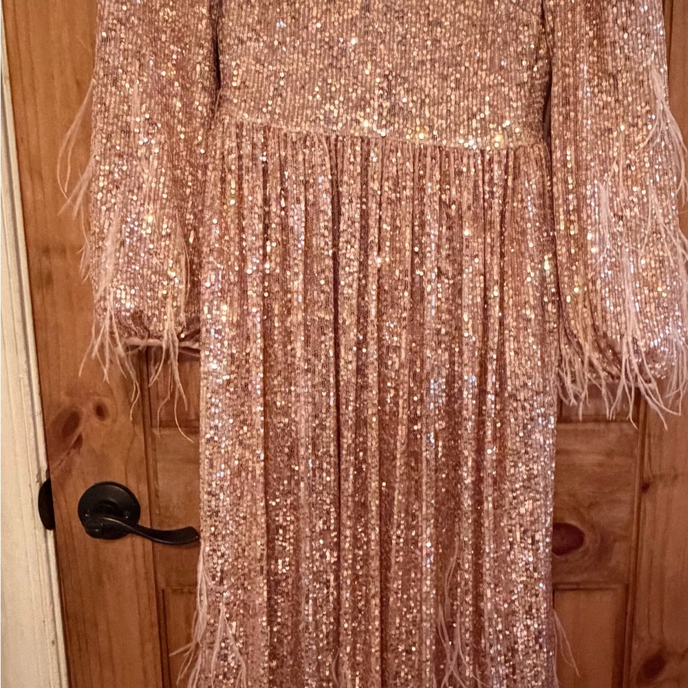 Antonio Melani × Nicola Bathie Nicola Sequin  Feathered A-Line Maxi Dress 0 - Picture 5 of 7